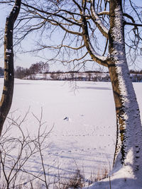 Scenic view of frozen lake against sky during winter