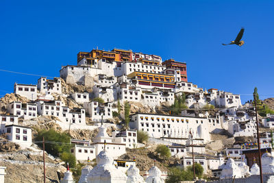 A beautiful gompa in ladakh rejion