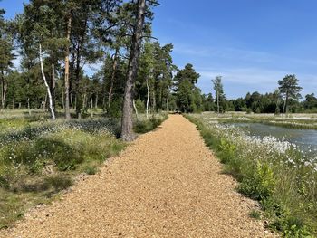 Trail amidst trees on field against sky