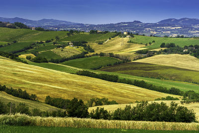 Scenic view of agricultural field against sky