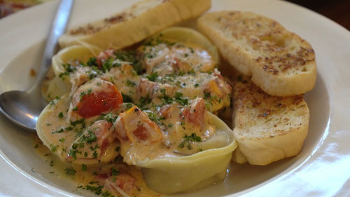 Close-up of meal served in plate