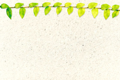 Close-up of white pattern on wall