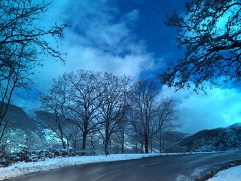 Road amidst bare trees against sky during winter