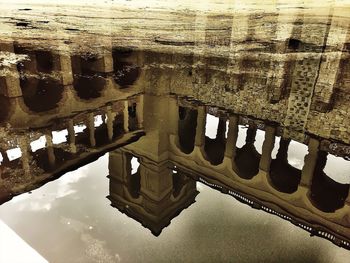 Reflection of trees in water