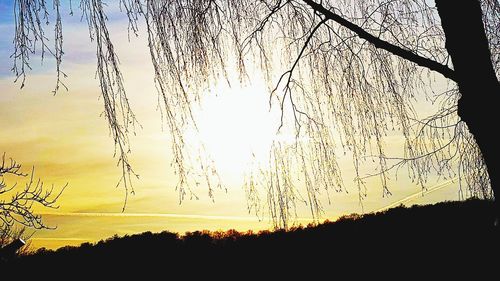 Silhouette trees on landscape against sky during sunset