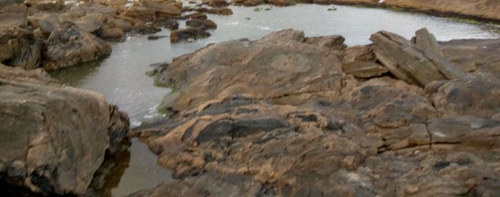 High angle view of rocks on beach