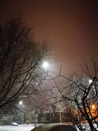 Low angle view of bare trees during winter at night