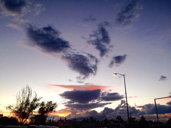 Low angle view of trees against sky