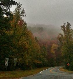 Empty road with trees in background