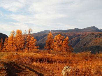 Scenic view of landscape against sky during autumn