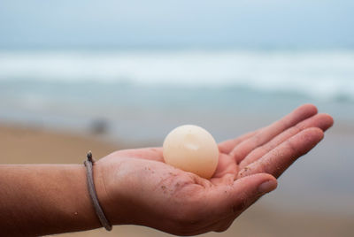 Cropped hand of woman holding egg at beach