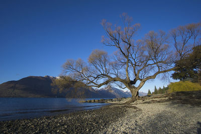 Scenic view of lake against clear sky