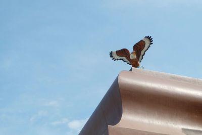 Low angle view of eagle flying against sky