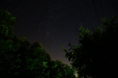 Low angle view of trees against sky at night