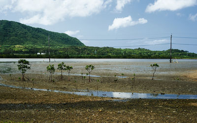 Scenic view of beach against sky