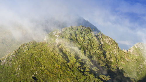 Panoramic view of trees and mountains against sky