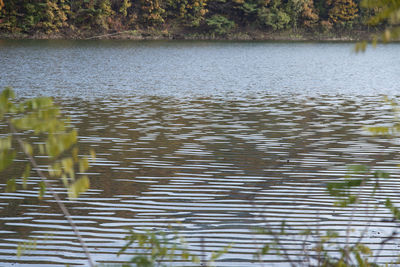 Scenic view of lake