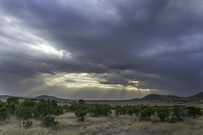 Scenic view of landscape against dramatic sky