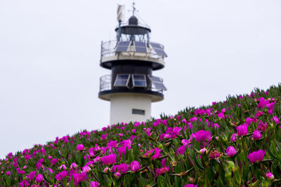 Lighthouse by sea against clear sky