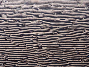 A full frame beach background with wavy pattered surface formed by water on the wet sand