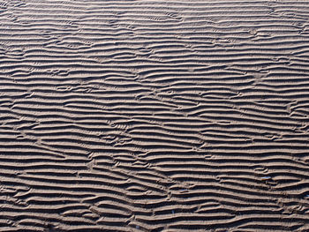 Full frame shot of sandy beach