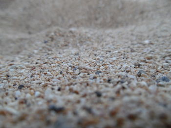 Full frame shot of pebble beach