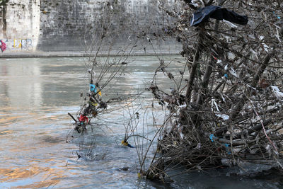 Frozen river against bare trees during winter