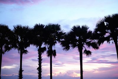 Low angle view of coconut palm trees against sky during sunset