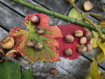 High angle view of vegetables on table