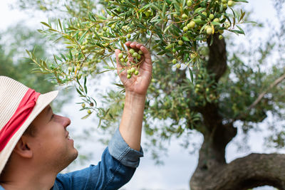 Low angle view of man looking at tree