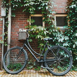 Bicycle parked outside house