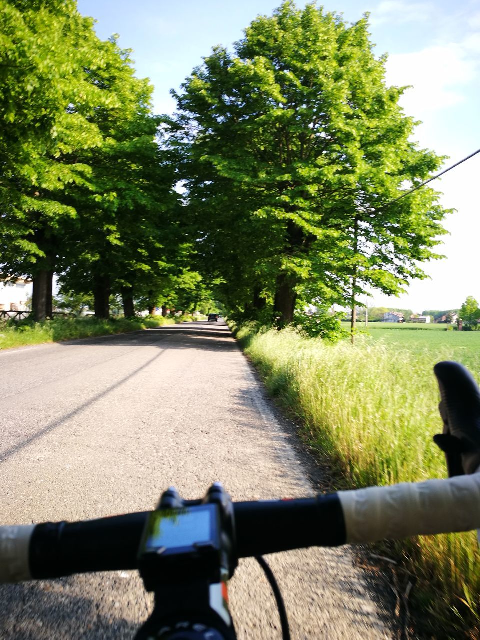 bicycle, transportation, handlebar, tree, road, mode of transport, land vehicle, cycling, riding, day, the way forward, nature, outdoors, stationary, landscape, motorcycle, real people, grass, sky