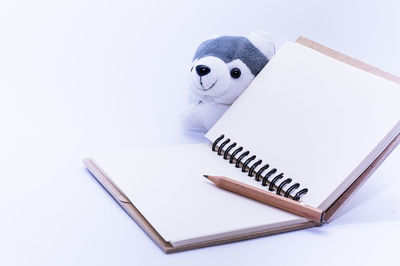 High angle view of stuffed toy on white background