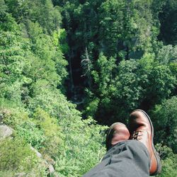 Low section of man above forest during sunny day
