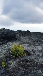 Scenic view of landscape against cloudy sky