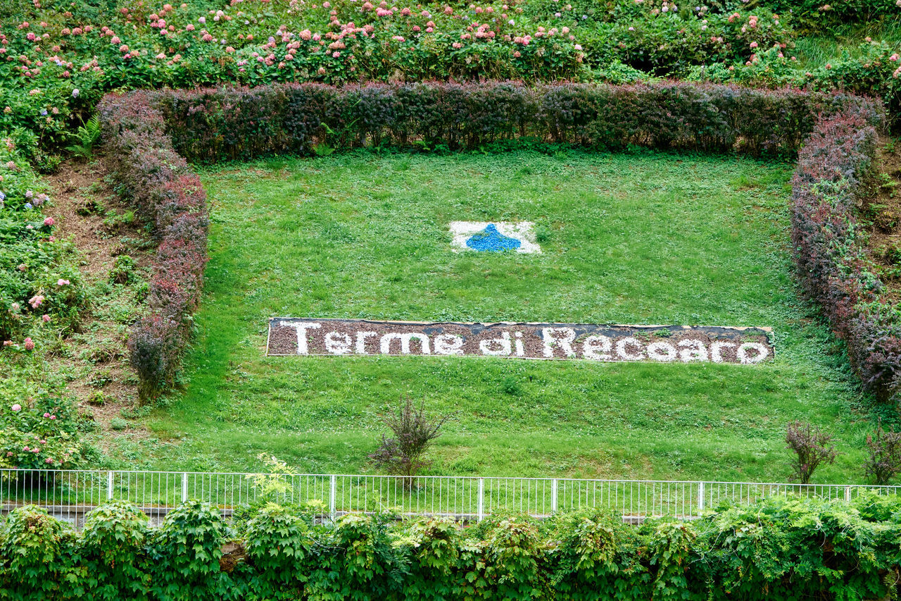 lawn, grass, plant, text, communication, western script, garden, green, no people, day, flower, sign, nature, shrub, growth, yard, outdoors, soil, tree, woodland, guidance, meadow, information sign