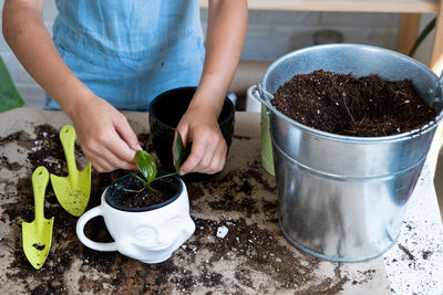 Midsection of woman holding potted plant