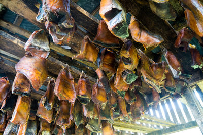 High angle view of food