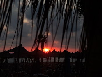 Silhouette palm trees on beach against sky during sunset