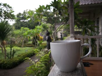 Close-up of coffee cup on railing against plants