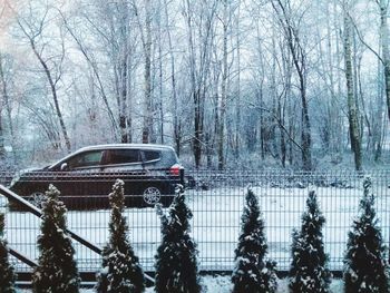 Reflection of bare trees on snow covered car