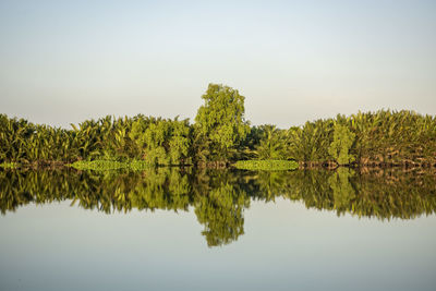 the Bang Pakong