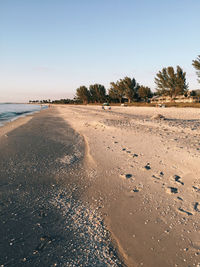 Scenic view of beach against clear sky