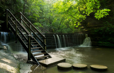 Stepping stones in lake against trees at forest