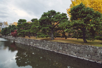 Scenic view of river by trees against sky