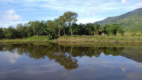 Reflection of trees in lake against sky