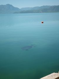 Scenic view of lake