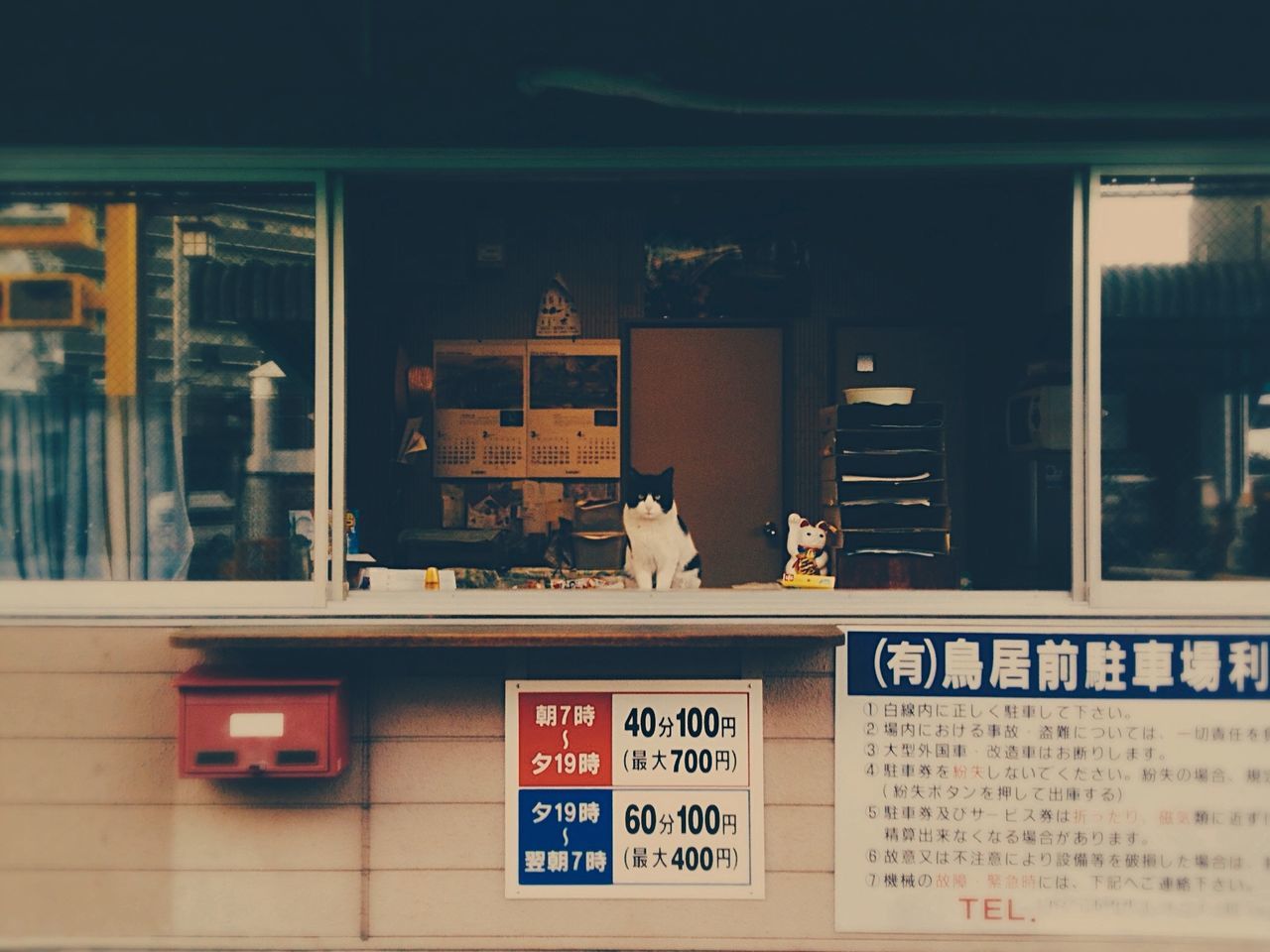 text, western script, communication, indoors, non-western script, information sign, illuminated, store, information, window, capital letter, number, sign, built structure, shop, shelf, architecture, display, night, no people