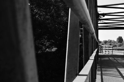 Woman standing on tree trunk
