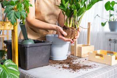 Low section of woman holding potted plant